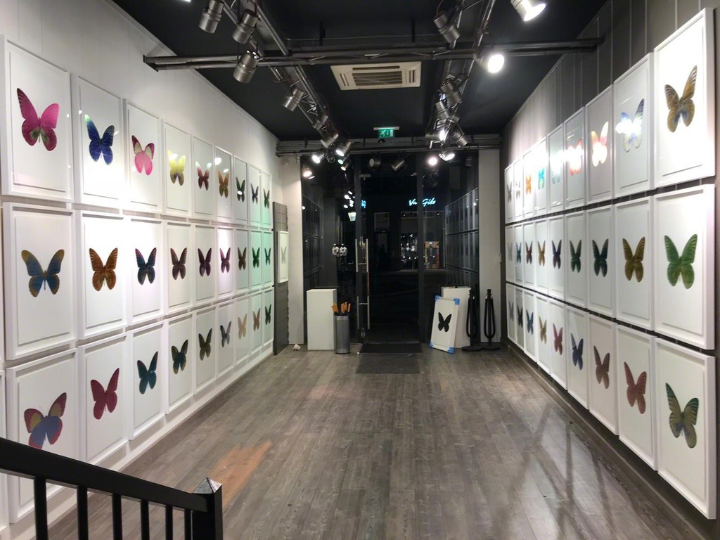Damien Hirst - Souls. Kunsthuis Breda. Nov - Dec 2018 Damien Hirst - Souls. Kunsthuis Breda. Nov - Dec 2018