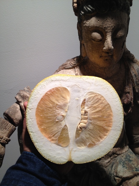 Gabriel Orozco, ‘Buda’, 2013, kurimanzutto