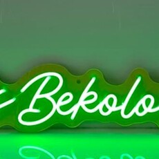 Elie fils Bekolo Bekolo