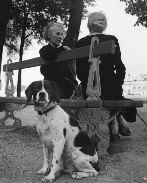 Sabine Weiss, ‘2 femmes et chien (Two women and dog)’, 1954, Holden Luntz Gallery