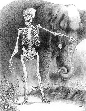 James Mundie, ‘The Proportions Of John Merrick’, 2000, Stanek Gallery