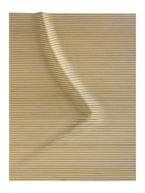 Ricardo Pascale, ‘Random Lines IX’, 2014, Galería del Paseo