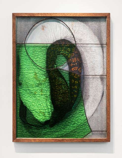 , 'Eels,' 2019, Madragoa