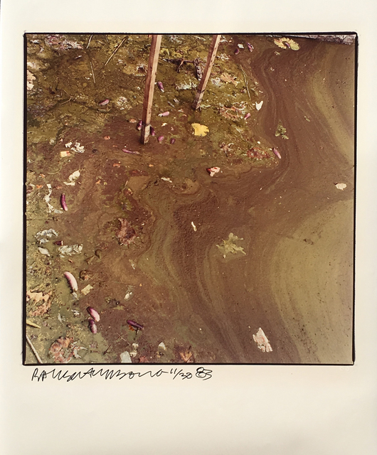 Robert Rauschenberg, ‘Study for Chinese Summerhall (Green Mud)’, 1983, Eckert Fine Art