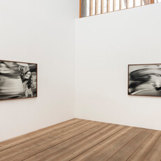 Linda Fregni Nagler - News from Wonderland