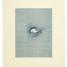 Ann Hamilton, script b (2008)