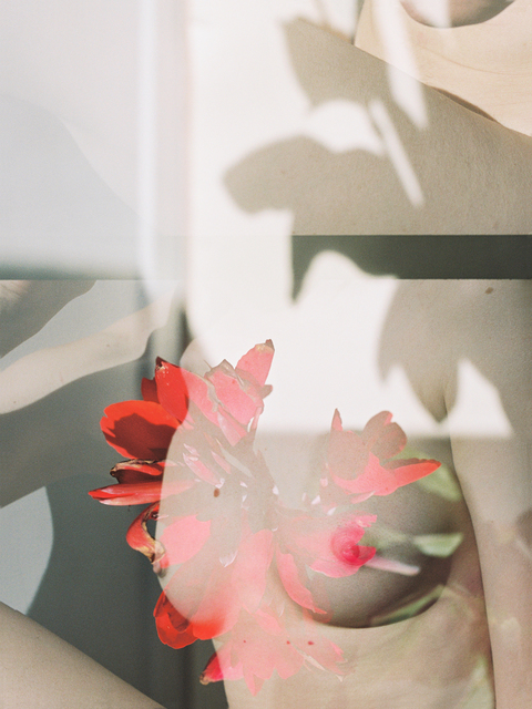 Annelie Bruijn, ‘Exploring’, 2019, ElliottHalls