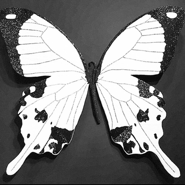 Stephanie Hirsch Black And White Butterfly 2018 Available For