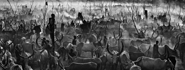David Yarrow, ‘Mankind II (Black and White)’, 2015, Photography, Archival Pigment Print, Hilton Asmus