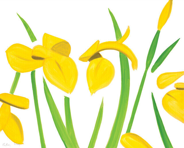 Alex Katz - Yellow Flags on White