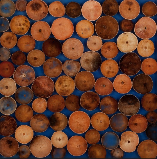 Mayme Kratz, ‘Lost Light Study #5’, 2015, Dolby Chadwick Gallery