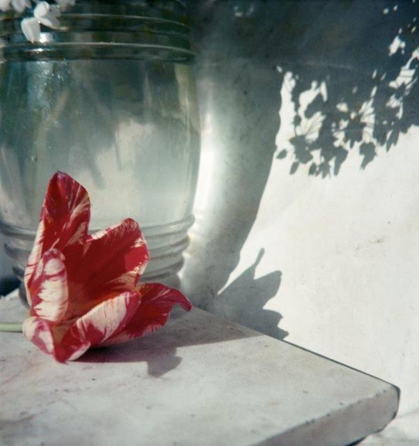 Jacques Henri Lartigue, ‘Opio’, 1963, Echo Fine Arts