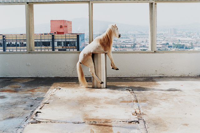 Anri Sala, ‘Fuera del Carrusel’, 2002, Phillips