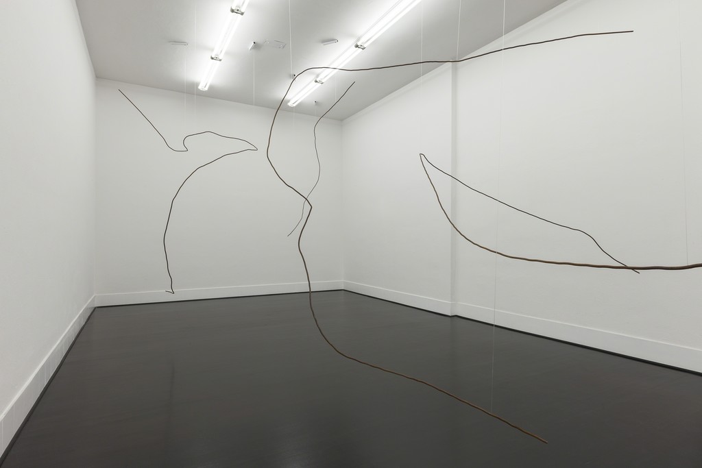 Diango Herández
Hurricanes, 2016
Installation view at FL Gallery - SPAZIO 22
Photo credit: Antonio Maniscalco Diango Herández
Hurricanes, 2016
Installation view at FL Gallery - SPAZIO 22
Photo credit: Antonio Maniscalco