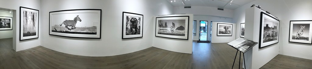 David Yarrow: Off Road & After Hours: Coyote Ugly, 2019; The Dream, Iceland, 2018; Dessert Flight, Amboseli, Kenya, 2014; Wakanda, 2019; White Horses, 2018; Africa II, 2018; The Break Up, 2018; Emma, Dinokeng, South Africa, 2017; The Leader of the Pack, 2019; Kong, 2019 David Yarrow: Off Road & After Hours: Coyote Ugly, 2019; The Dream, Iceland, 2018; Dessert Flight, Amboseli, Kenya, 2014; Wakanda, 2019; White Horses, 2018; Africa II, 2018; The Break Up, 2018; Emma, Dinokeng, South Africa, 2017; The Leader of the Pack, 2019; Kong, 2019