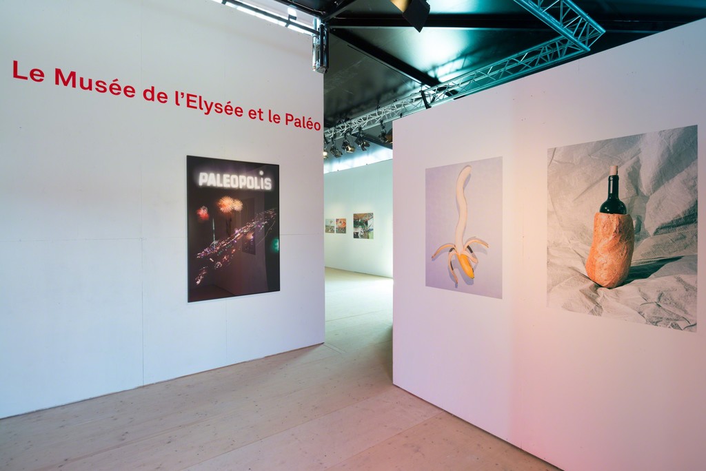 © Yannick Luthy / Musée de l'Elysée 2015 © Yannick Luthy / Musée de l'Elysée 2015