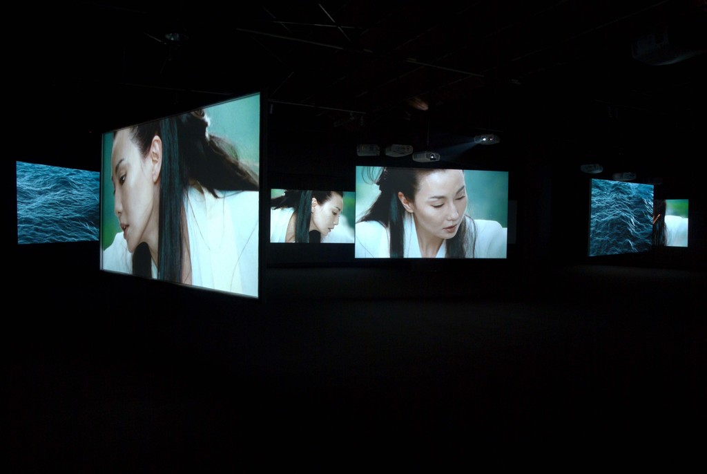 Installation view of "Installment 4: Chinese Artists at the Fondation Louis Vuitton" at Fondation Louis Vuitton, Paris (2016) Installation view of "Installment 4: Chinese Artists at the Fondation Louis Vuitton" at Fondation Louis Vuitton, Paris (2016)