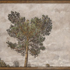 Christopher Bramham