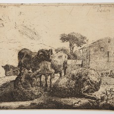Jacob van der Does