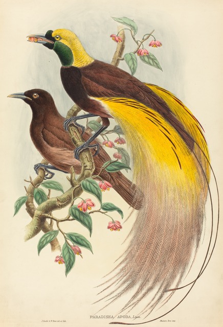 John Gould and W. Hart - Bio & Shows on Artsy