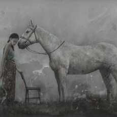 Seno Andrianto