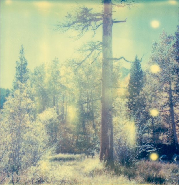 Stefanie Schneider, ‘In the Range of Light (Wastelands)’, 2003, Photography, Digital C-Print based on a Polaroid, Instantdreams