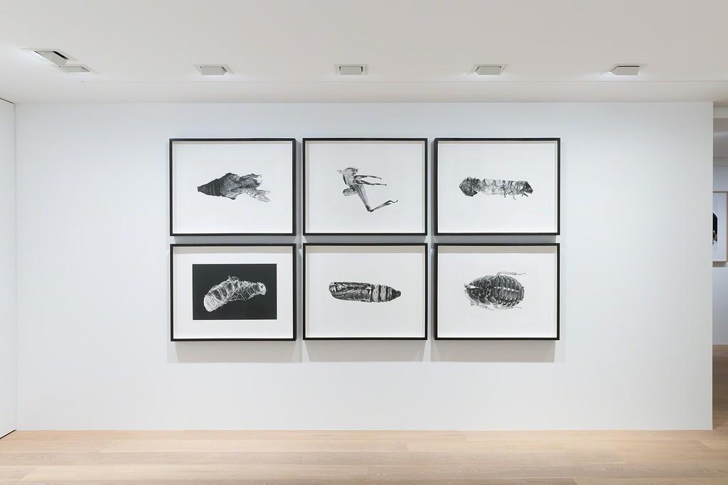 Photo by Guillaume Mausset. All artwork © Carsten Höller. Courtesy Gagosian Gallery.
Photo by Guillaume Mausset. All artwork © Carsten Höller. Courtesy Gagosian Gallery.