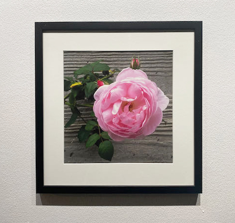 Karen Woodward Sarrow
