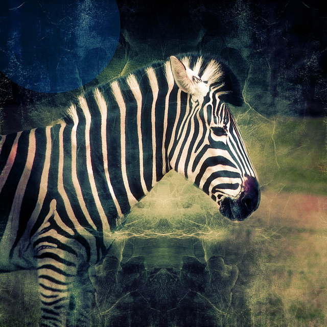 Nadia Attura, ‘Zebra Cinema’, 2017, Imitate Modern
