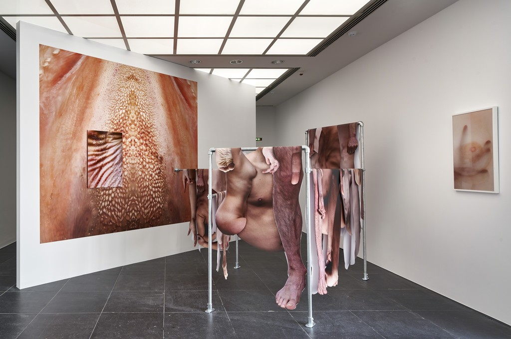Alix Marie, Bleu, 2013-2017, Installation view Frankfurter Kunstverein, 2018, Photo: N. Miguletz, © Frankfurter Kunstverein, Courtesy of the artist Alix Marie, Bleu, 2013-2017, Installation view Frankfurter Kunstverein, 2018, Photo: N. Miguletz, © Frankfurter Kunstverein, Courtesy of the artist