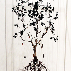 Jorge Mayet