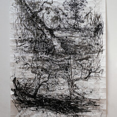 Maia Lehr-Sacks