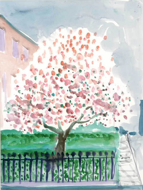 David Hockney, ‘Magnolia Edwards Square’, 2002, Andipa