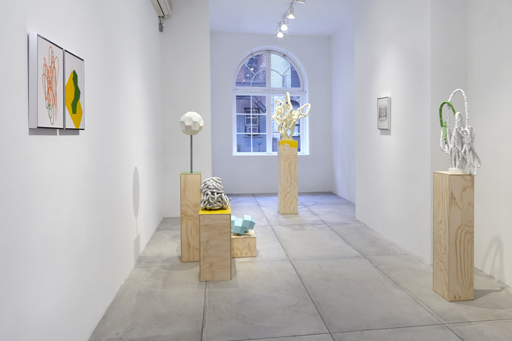 Paul Sacaridiz, Installation view at Jane Hartsook Gallery. 2016 Paul Sacaridiz, Installation view at Jane Hartsook Gallery. 2016