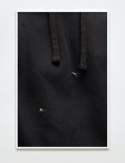 Paul Hutchinson, ‘fragility’, 2018, Photography, Inkjet print, Sies + Höke