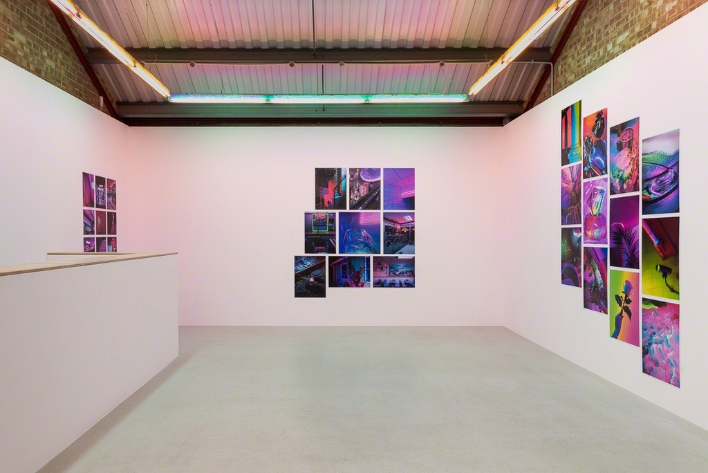 Installation view, Signe Pierce 'Faux Realities' at Annka Kultys Gallery, London, 2017 Photo: Annka Kultys Gallery (Damian Griffiths) Installation view, Signe Pierce 'Faux Realities' at Annka Kultys Gallery, London, 2017 Photo: Annka Kultys Gallery (Damian Griffiths)