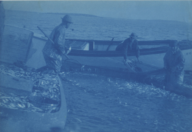 Margaret Watkins, ‘Untitled (fishing)’, c. 1910's, Photography, Cyanotype, Robert Mann Gallery