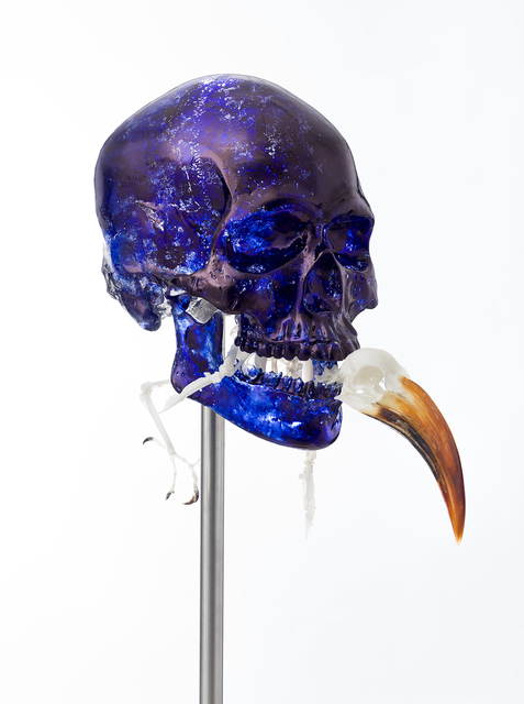 Jan Fabre, ‘Skull with Von der Decken’s Hornbill’, 2018, Sculpture, Bic ink, Murano glass, skeleton, stainless steel, Templon