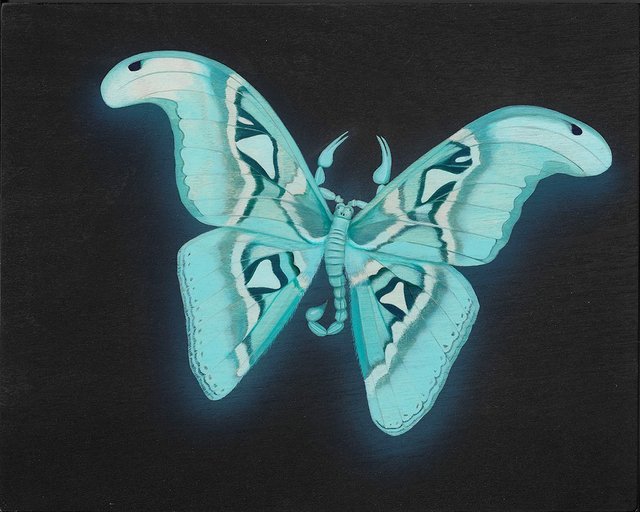 Tiffany Bozic, ‘Glowing Atlas Moth’, 2018, Beinart Gallery