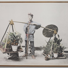 Linda Fregni Nagler, Untitled (Cycas) (2018)