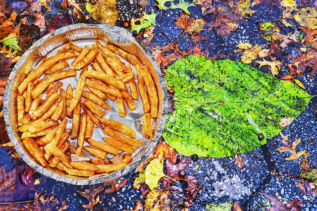 Mitchell Funk | French Fries Central Park (2019) | Available for Sale ...