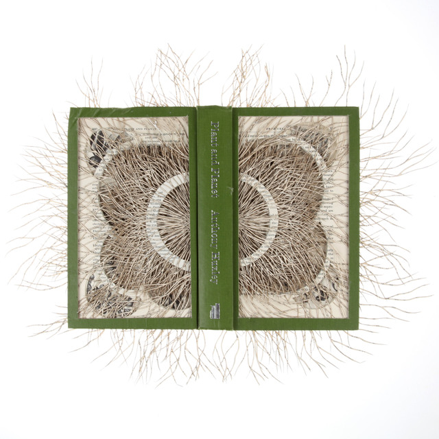 Barbara Wildenboer, ‘Plant and Planet’, 2015, Seager Gray Gallery