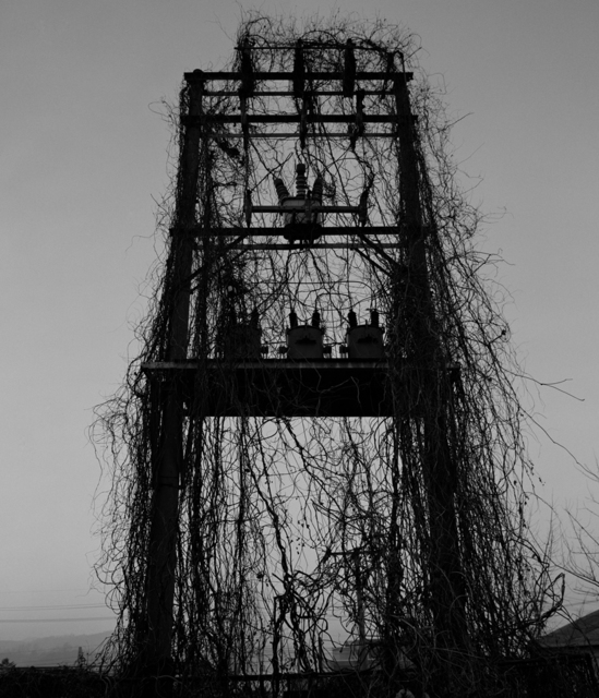 Koo Bohnchang, ‘Breath 28’, 1995, Photography, Three Shadows +3 Gallery