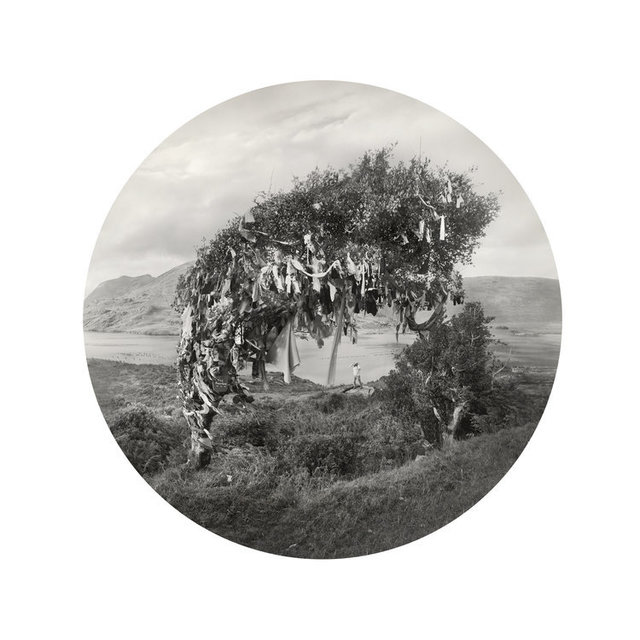 Kahn & Selesnick, ‘Magic Tree’, Yancey Richardson Gallery