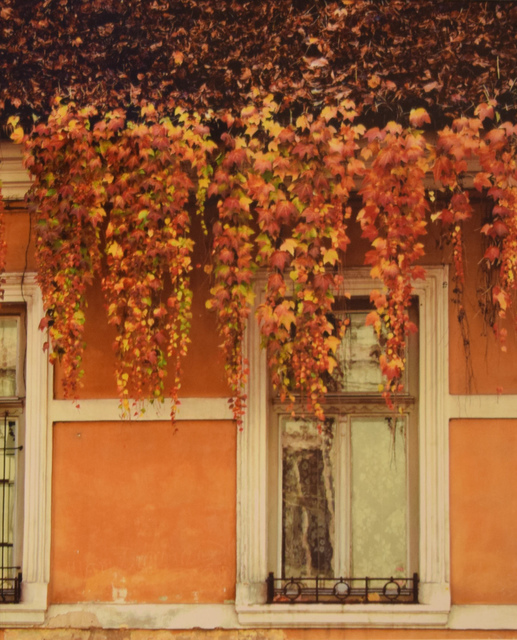 Ella Veres, ‘Vivaldi's The Four Seasons: Fall’, 2016, Fountain House Gallery