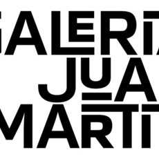 Galería Juan Martín logo