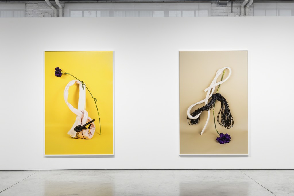 Michelle Bui, Centerfold, 2019, installation view. Michelle Bui, Centerfold, 2019, installation view.