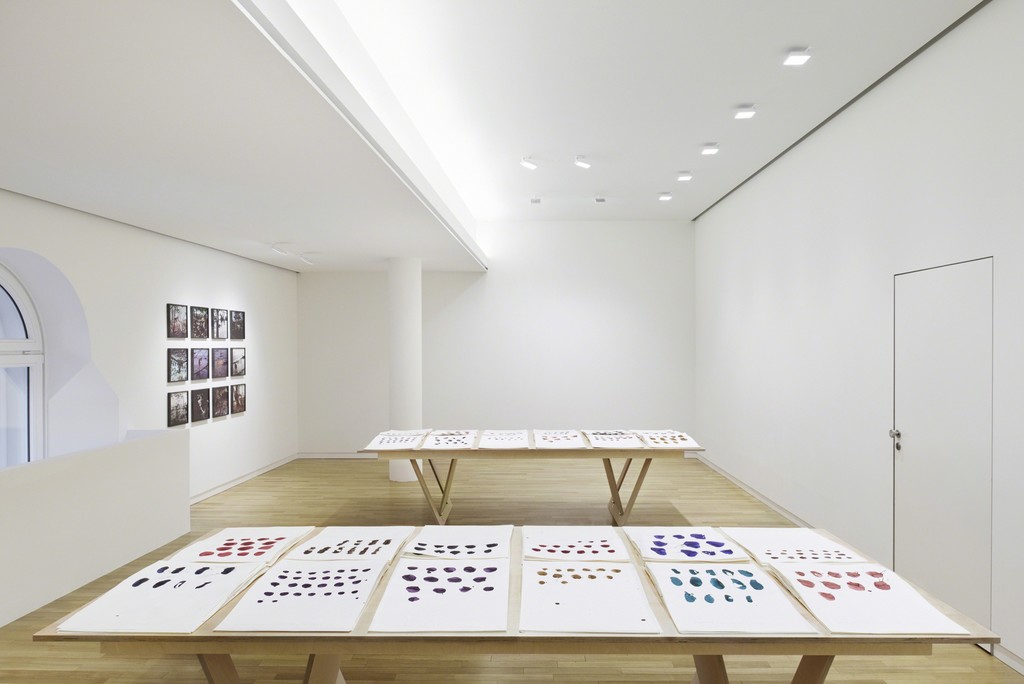 Installation views of
Channel, 2014
Let them eat potatoes, 2014
Photo: Christian Kain
Courtesy the artist and Espace Louis Vuitton München
Work with the support of Espace Louis Vuitton München Installation views of
Channel, 2014
Let them eat potatoes, 2014
Photo: Christian Kain
Courtesy the artist and Espace Louis Vuitton München
Work with the support of Espace Louis Vuitton München