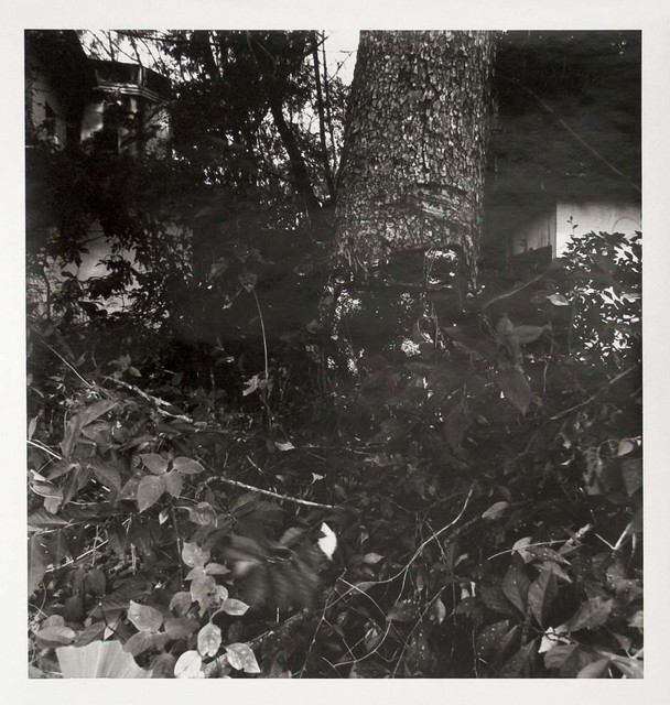 Simryn Gill, ‘My Own Private Angkor’, 2008, Jhaveri Contemporary