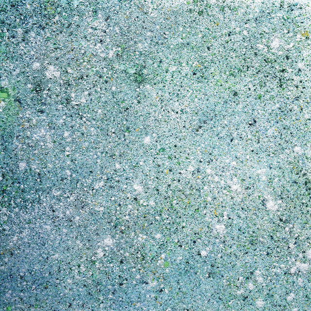 Tina Buchholtz, ‘Green Bowl’, 2019, Painting, Pigments and glass on canvas, Karin Weber Gallery